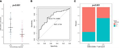 Peripheral CD8+CD28+ T lymphocytes predict the efficacy and safety of PD-1/PD-L1 inhibitors in cancer patients